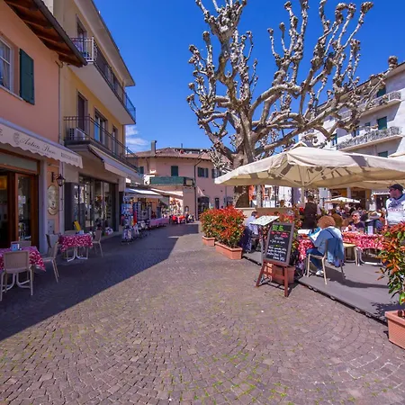 Camelia Rosa - Happy Apartman Stresa